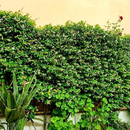 Appartement Daglas Summer House