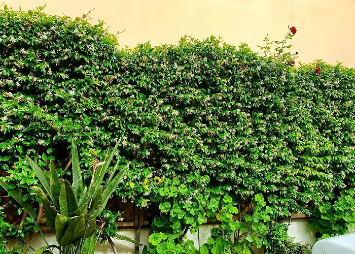 Appartement Daglas Summer House