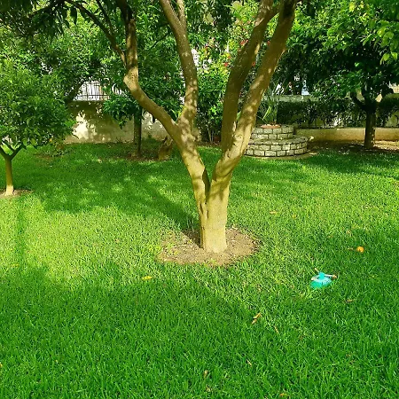 Apartman Daglas Summer House *